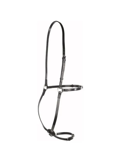 Jeffries Grackle Noseband