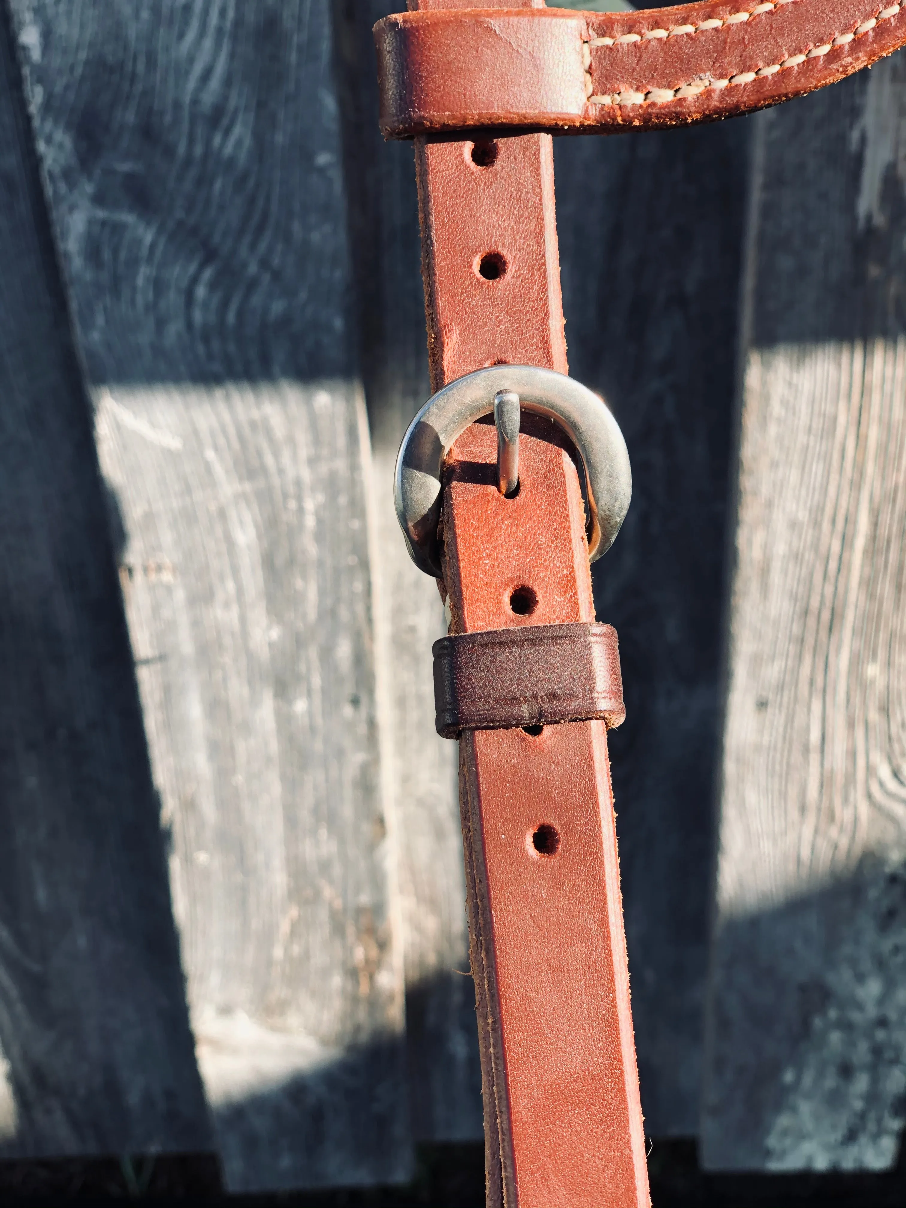 Two Buckle Slide Ear Headstall