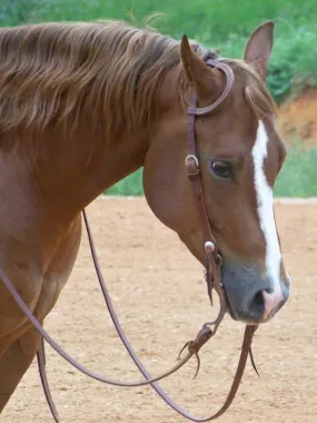 Two Buckle Slide Ear Headstall